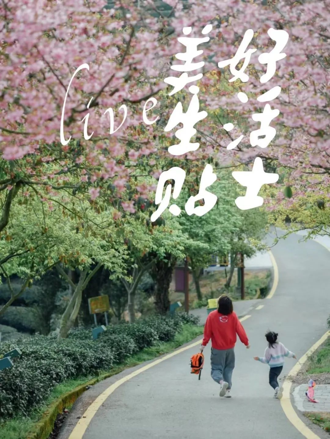 来自星星的孩子,与父母的线上守望