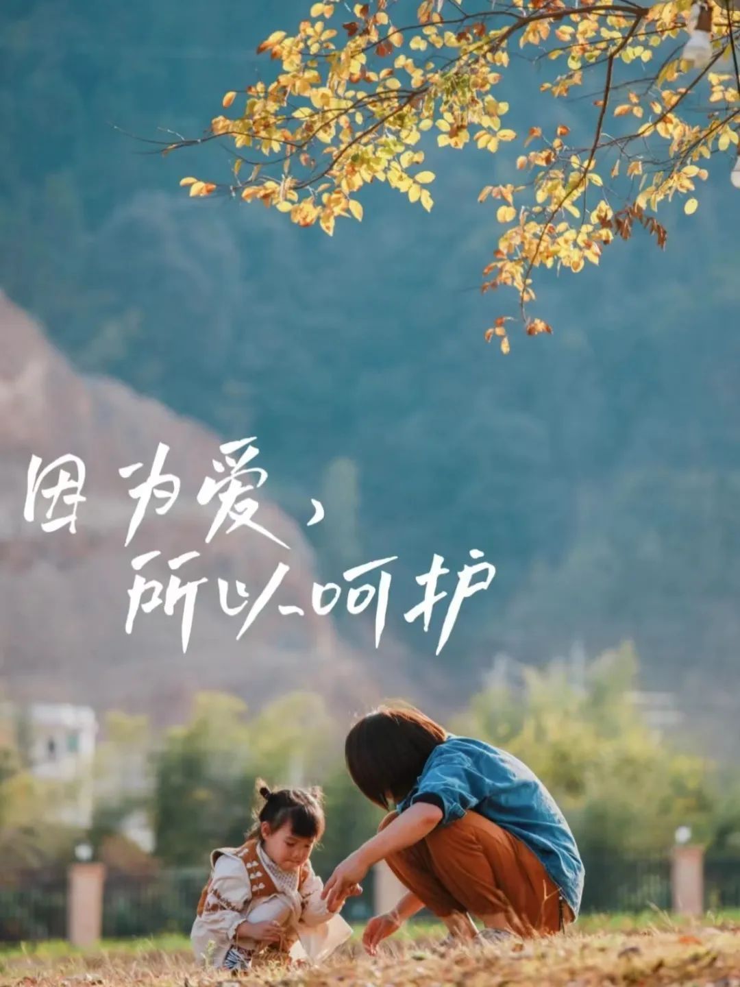 来自星星的孩子,与父母的线上守望