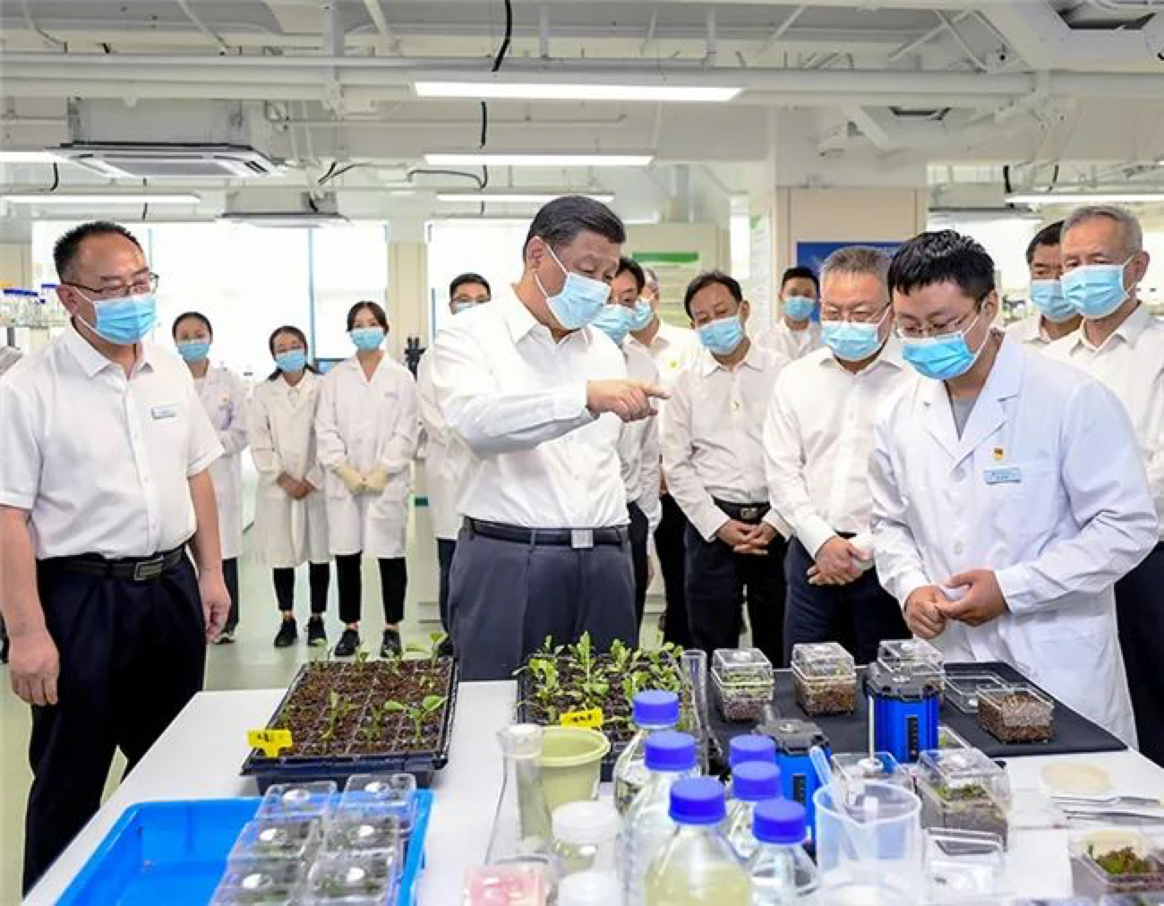 1652865715322041.jpg 15881652865688_.pic_hd.jpg