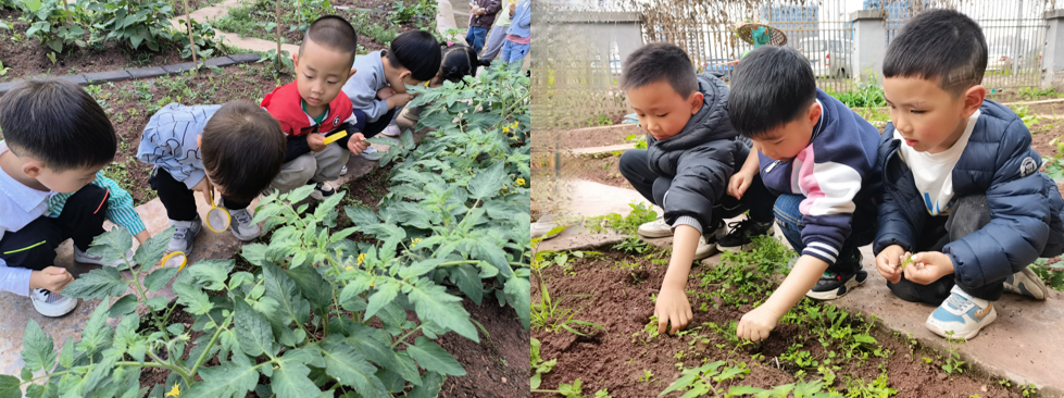 1684723831172597.png 640.png